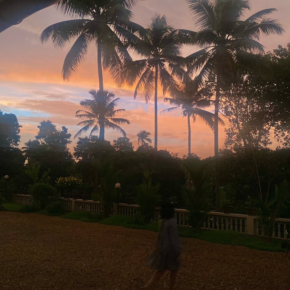 Meet your Posher, Norah